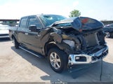 Ford F-150 Xlt 1FTEW1CPXLKD56807 снимка