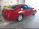 Nissan Maxima 3.5 Sl 1N4BA41E85C811600 снимка