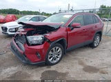Toyota Rav4 Xle Premium JTMA1RFV9KD047600 photo