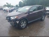 Toyota Rav4 Le 2T3BFREV6JW758891 снимка