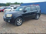 Honda Pilot Ex-L 5FNYF4H60BB001235 fotografie