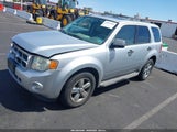 Ford Escape Xlt 1FMCU0DGXAKD06133 снимка