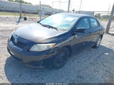 Toyota Corolla Le 2T1BU4EE6AC515486 снимка