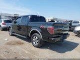 Ford F-150 Fx4 1FTFW1E64EFD14542 снимка