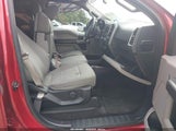 Ford F-150 Xlt 1FTEW1CF4GFA87967 снимка