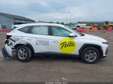 Hyundai Tucson Se 5NMJA3DE5SH461299 снимка