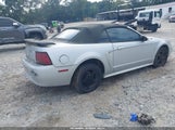 Ford Mustang 1FAFP444X2F228099 fotografie
