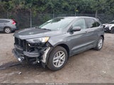 Ford Edge Sel 2FMPK4J97RBB12413 fotografie