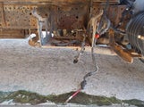 Chevrolet  Lcf Gas 54DCDW1B3HS800114 снимка