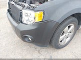 Ford Escape Limited 1FMCU9EG8AKD31065 снимка