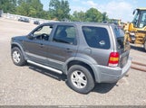 Ford Escape Xlt 1FMYU04172KC92145 снимка