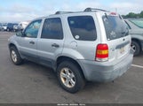 Ford Escape Xlt 1FMYU93155DA11698 снимка