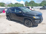 Jeep Compass Trailhawk 4X4 3C4NJDDB8KT840443 снимка