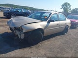 Chevrolet Malibu 1G1ND52J43M533309 снимка