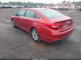 Hyundai Sonata Se 5NPE24AF4GH314354 снимка