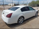 Nissan Maxima 3.5 Se 1N4BA41E54C829633 снимка