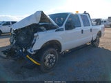 Ford F-250 Xl 1FT7W2B62EEB37347 снимка