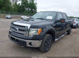 Ford F-150 Xlt 1FTFW1ET3EFB41215 снимка