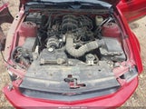 Ford Mustang V6 Deluxe/V6 Premium 1ZVHT84N185193804 снимка