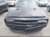 Dodge Challenger Sxt 2C3CDYAG7DH676141 photo