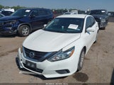 Nissan Altima 2.5/2.5 S/2.5 Sl/2.5 Sr/2.5 Sv 1N4AL3AP8GC150526 снимка