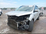 Ford Escape Titanium 1FMCU0J95HUE94399 fotografie