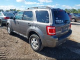 Ford Escape Xlt 1FMCU0DG5BKC60793 fotografie