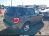 Ford Escape Xlt 1FMCU0DG5BKC60793 fotografie