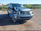 Ford Escape Xlt 1FMCU0DG5CKA56867 снимка