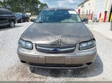 Chevrolet Malibu 1G1ND52J12M643622 снимка