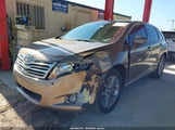 Toyota Venza 4T3ZA3BB0AU021819 снимка