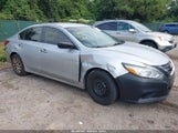 Nissan Altima 1N4AL3AP0HC114640 снимка