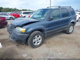 Ford Escape Xlt 1FMYU93175KC52481 снимка