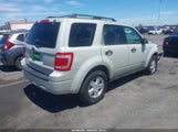Ford Escape Xlt 1FMCU03118KB46246 снимка