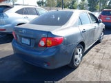 Toyota Corolla Le 1NXBU40E09Z156461 снимка