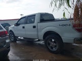 Ford F-150 Fx4/Harley-Davidson/King Ranch/Lariat/Platinum/Xl/Xlt 1FTFW1EV8AFB33185 снимка