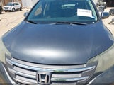 Honda Cr-V Ex 3CZRM3H51DG706628 снимка