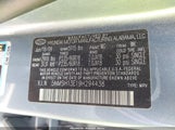 Hyundai Santa Fe Limited 5NMSH13E19H294438 photo
