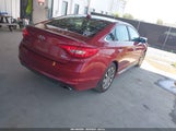 Hyundai Sonata Sport 5NPE34AFXFH080197 photo