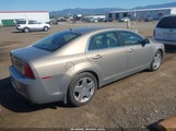 Chevrolet Malibu Lt 1G1ZJ57788F263116 снимка