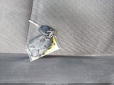 Chevrolet Silverado  Lt2 2GCEK19J281249644 снимка