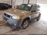 Ford Escape Xlt 1FMYU03111KF79156 снимка