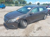 Hyundai Sonata 5NPE24AF5HH505833 снимка