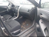 Toyota Corolla S 1NXBU40E49Z031771 снимка