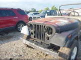 Jeep Jeep Cj7 1JCCM87E6DT054634 снимка