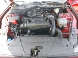 Ford Mustang Ecoboost Fastback 1FA6P8TH8R5113951 снимка