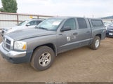 Dodge Dakota Slt 1D7HW48N85S310293 снимка