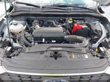 Ford Escape Active 1FMCU9GN6SUA43983 fotografie