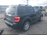 Ford Escape Xlt 1FMCU9DG1BKB51591 fotografie
