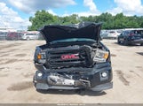 GMC Sierra 1GTR1TEH3FZ314749 снимка